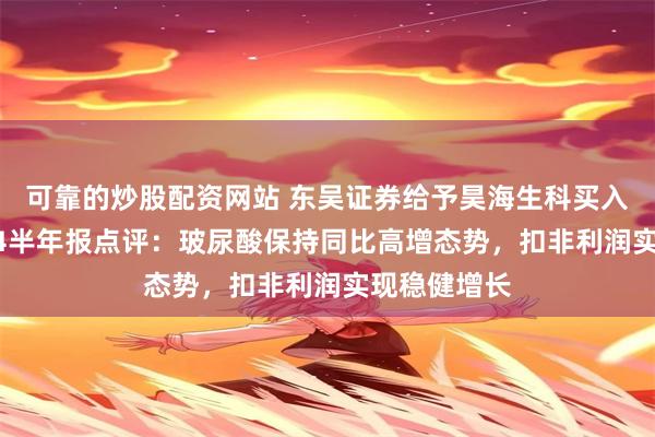 可靠的炒股配资网站 东吴证券给予昊海生科买入评级，2024半年报点评：玻尿酸保持同比高增态势，扣非利润实现稳健增长