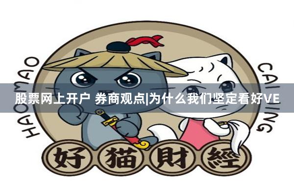 股票网上开户 券商观点|为什么我们坚定看好VE