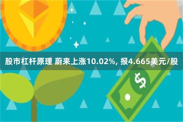 股市杠杆原理 蔚来上涨10.02%, 报4.665美元/股