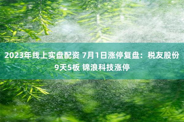 2023年线上实盘配资 7月1日涨停复盘：税友股份9天5板 锦浪科技涨停