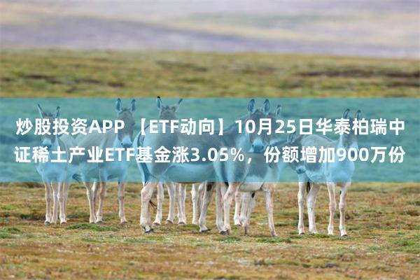 炒股投资APP 【ETF动向】10月25日华泰柏瑞中证稀土产业ETF基金涨3.05%，份额增加900万份