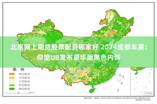 北京网上期货股票配资哪家好 2024成都车展：仰望U8发布豪华版黑色内饰