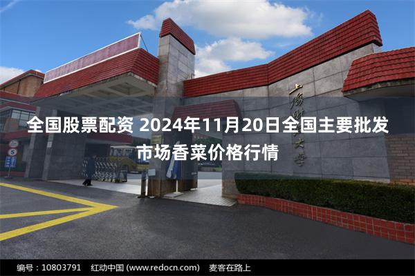 全国股票配资 2024年11月20日全国主要批发市场香菜价格行情