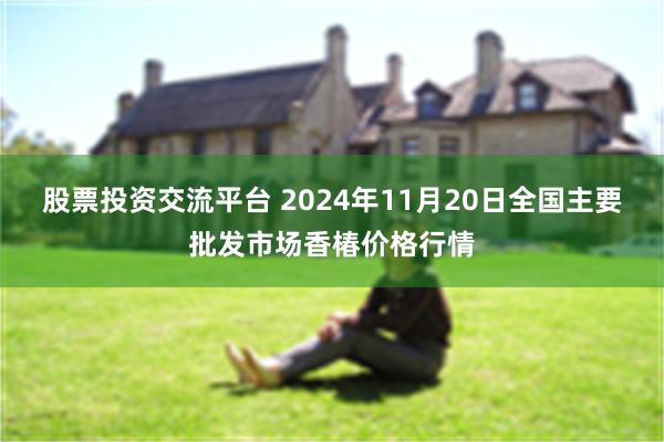 股票投资交流平台 2024年11月20日全国主要批发市场香椿价格行情