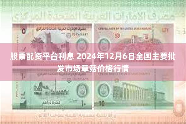 股票配资平台利息 2024年12月6日全国主要批发市场草菇价格行情