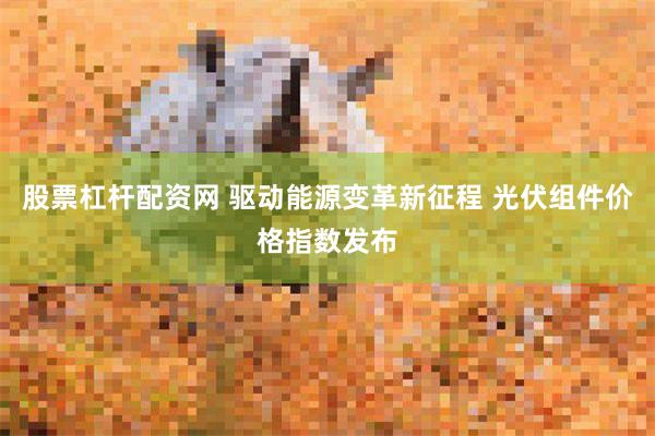 股票杠杆配资网 驱动能源变革新征程 光伏组件价格指数发布