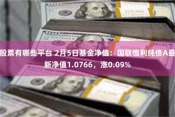 股票有哪些平台 2月5日基金净值：国联恒利纯债A最新净值1.0766，涨0.09%