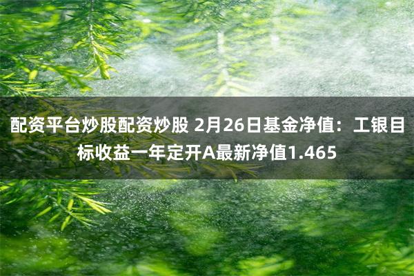 配资平台炒股配资炒股 2月26日基金净值：工银目标收益一年定开A最新净值1.465