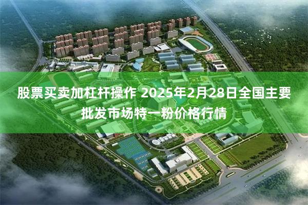 股票买卖加杠杆操作 2025年2月28日全国主要批发市场特一粉价格行情