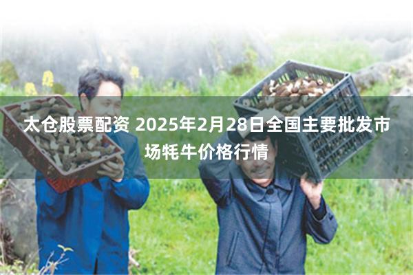 太仓股票配资 2025年2月28日全国主要批发市场牦牛价格行情