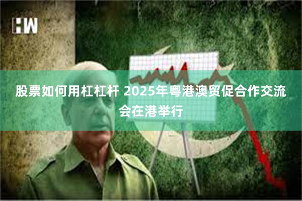 股票如何用杠杠杆 2025年粤港澳贸促合作交流会在港举行